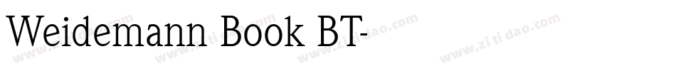 Weidemann Book BT字体转换